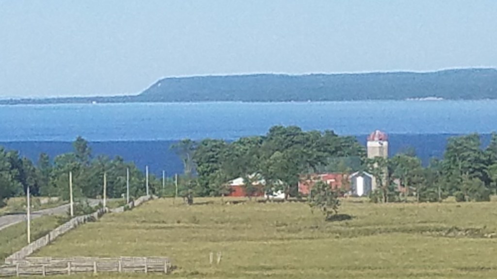 Country “Curing”