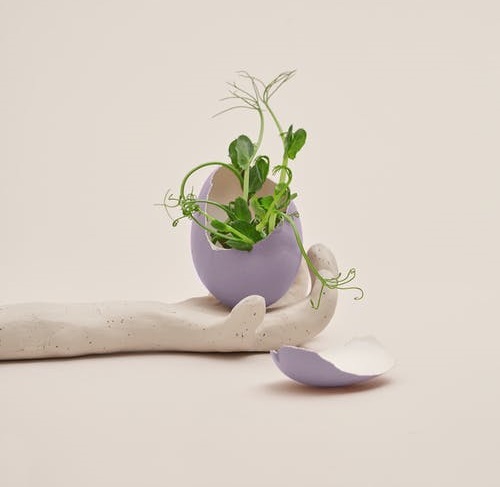 The Teachings of&nbsp;Spring